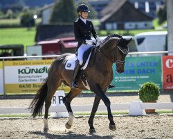 dressage horse Bendix 32 (Hanoverian, 2010, from Bonifatius)