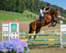 jumper Bba Merano CH (Swiss Warmblood, 2010, from Milor Landais)