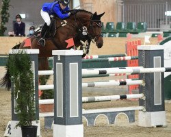 jumper Karina Borana (Bulgarian Warmblood, 2011, from Pikeur Carre)