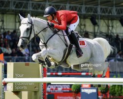 jumper Unique D'Elbe (Belgium Sporthorse, 2004, from President)