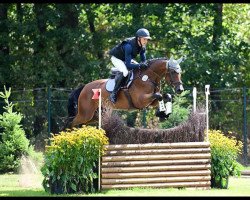 jumper Porto Cristo B (Hanoverian, 2017, from Perigueux)