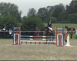 dressage horse Casimir 119 (Westfale, 2004, from Collin L)