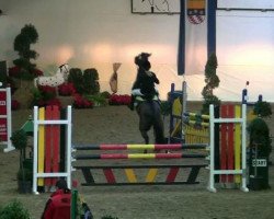 dressage horse Aldin (New Forest Pony, 2004, from Aladin)