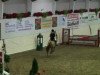 jumper Play Along (German Riding Pony, 2002, from Principal Boy)