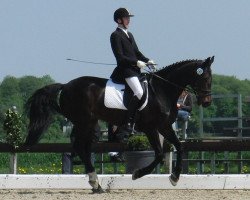 dressage horse Shariar AG (Hanoverian, 1996, from Saskan)