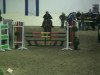 jumper Avanti 203 (German Riding Pony, 2004, from Avalon N)