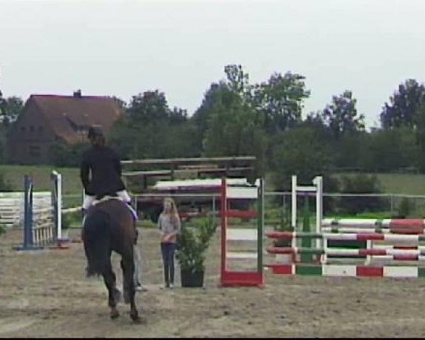 dressage horse Conpiko (Westphalian, 2005, from Charming 8)