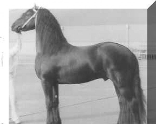 stallion Bendert 281 (Friese, 1981, from Wessel 237)