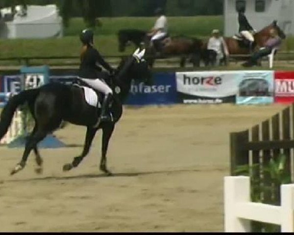 broodmare Black Magic Lady (Hanoverian, 2002, from Beluga)