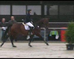 broodmare Fiona 475 (Hanoverian, 2006, from Fabriano)