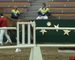 dressage horse Hengst von Top Champy (German Riding Pony, 2009, from Top Champy)