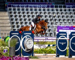 jumper Boomer 47 (anglo european sporthorse, 2013, from Bamako de Muze)