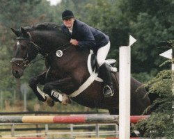 jumper Winzer 176 (German Warmblood, 1991)