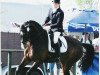 dressage horse Legolas 84 (Oldenburg, 2003, from Lucky Champ)