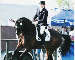 dressage horse Legolas 84 (Oldenburg, 2003, from Lucky Champ)