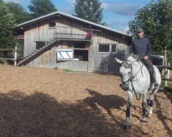 broodmare katrin mittler (Thuringia, 2001, from Corum)