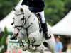 jumper Wombel (German Riding Pony, 1994)