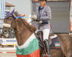 Springpferd Cardica (Bulgarisches Warmblut, 2010, von Camargo)