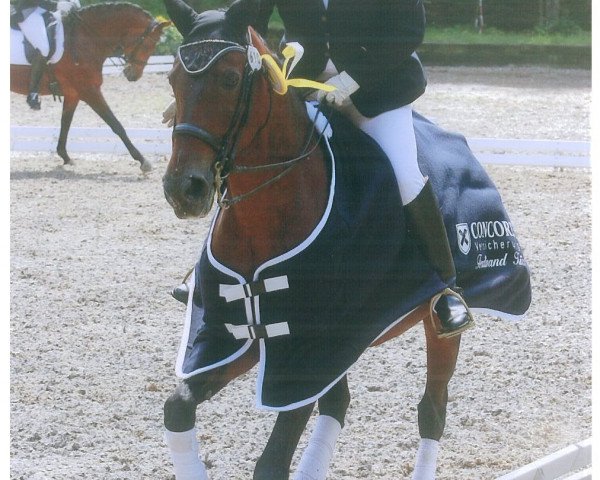 dressage horse Sandys Gigolo (Hanoverian, 1992)