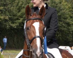 dressage horse Fangio (Rhinelander, 1999, from Fidermark)