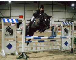 jumper Little Champ 21 (KWPN (Royal Dutch Sporthorse), 1993, from Ulster)