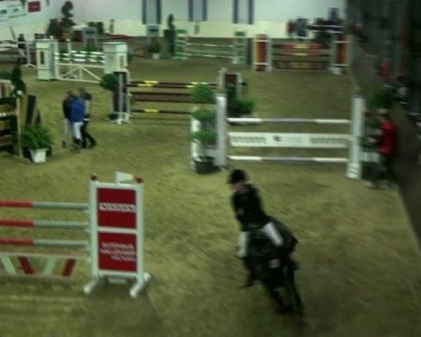 jumper Night Shadow 2 (German Riding Pony, 2001, from Nightcup)