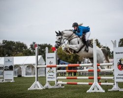 stallion Bolero M (German Sport Horse, 2009, from Baikal)