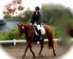 dressage horse London Nobility (Oldenburg, 2004, from Londonderry)