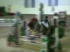 jumper Dorian 283 (German Riding Pony, 1993, from Derby)