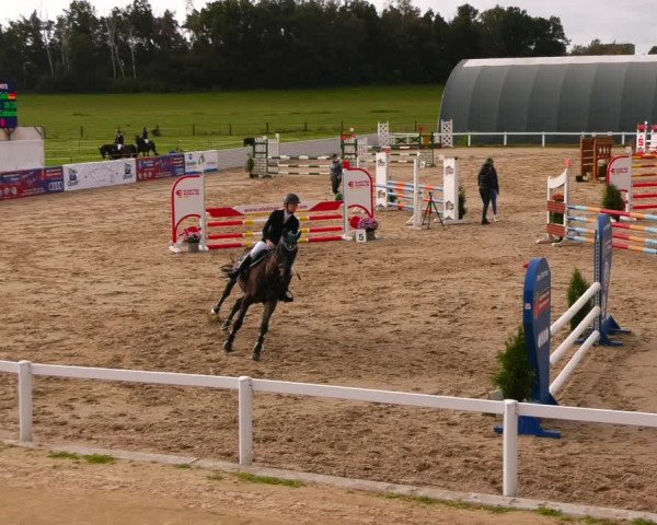 Reitturnier Bad Schmiedeberg 2022