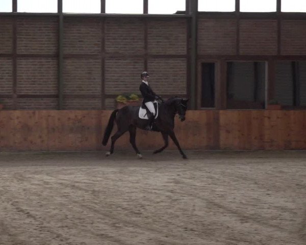Reitturnier Würselen - Reitanlage Rueben 2022