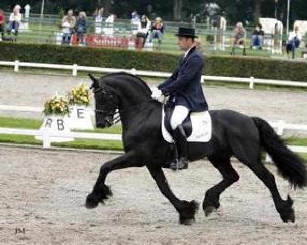 stallion Arjen 417 (Friese, 2000, from Erik 351)