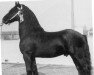 Pferd Hotse 223 (Friese, 1961, von Ritske 202)