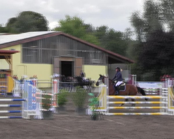 Reitturnier Lentzke - Reitanlage Krehl 2022