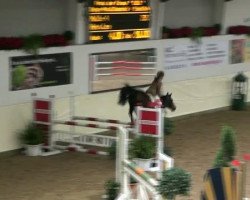 jumper Malle 4 (German Riding Pony, 2005, from Mentos)