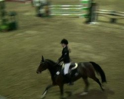 jumper Manisha 2 (German Riding Pony, 2004, from FS Maracaibo)