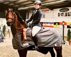 jumper Nikado 9 (German Riding Pony, 2012, from Nemax)