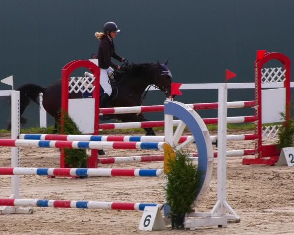 Reitturnier Bad Schmiedeberg 2022