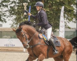 jumper Chacco-Bello (Oldenburg show jumper, 2011)