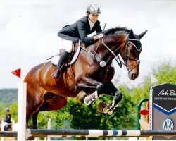 jumper Aldonja (KWPN (Royal Dutch Sporthorse), 2005, from Namelus R)