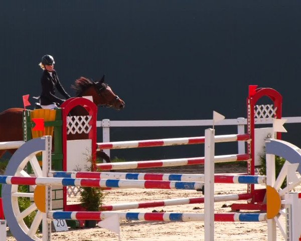 Reitturnier Bad Schmiedeberg 2022
