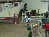 jumper Momo 121 (German Riding Pony, 1996, from Malteser)