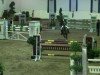 jumper Kalinka 223 (German Riding Pony, 2001, from Famos)