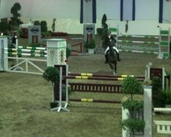 jumper Kalinka 223 (German Riding Pony, 2001, from Famos)