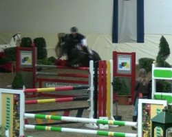 Springpferd Galina 216 (Deutsches Reitpony, 2005, von Begas)