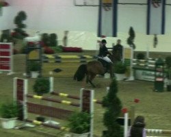 jumper Ribanna WE (German Riding Pony, 2002, from Leon)