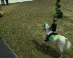 dressage horse Navidad 3 (German Riding Pony, 1996, from Nedo I)