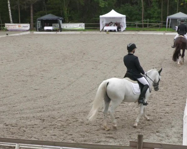 Reitturnier Ditzingen 2022