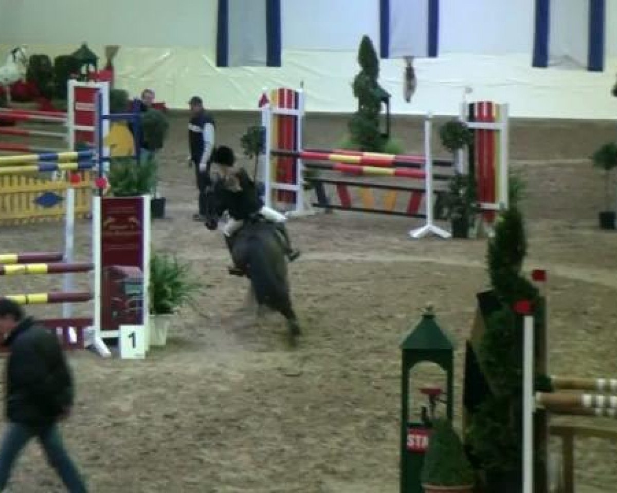 jumper Mr. Midnight Magic (German Riding Pony, 2003, from FS Maracaibo)