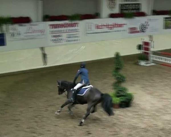 Springpferd Mono B (Deutsches Reitpony, 2006, von Mozart II)